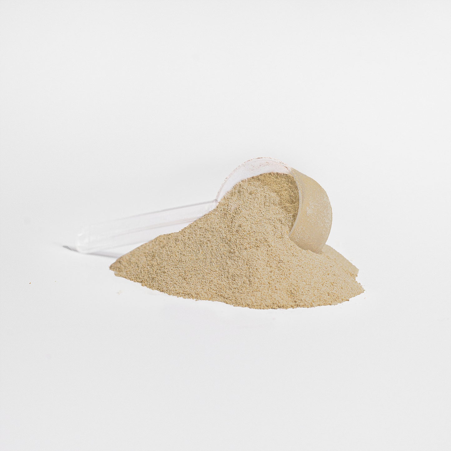Force of Atlas Whey Protein Isolate - HEAVENLY VANILLA